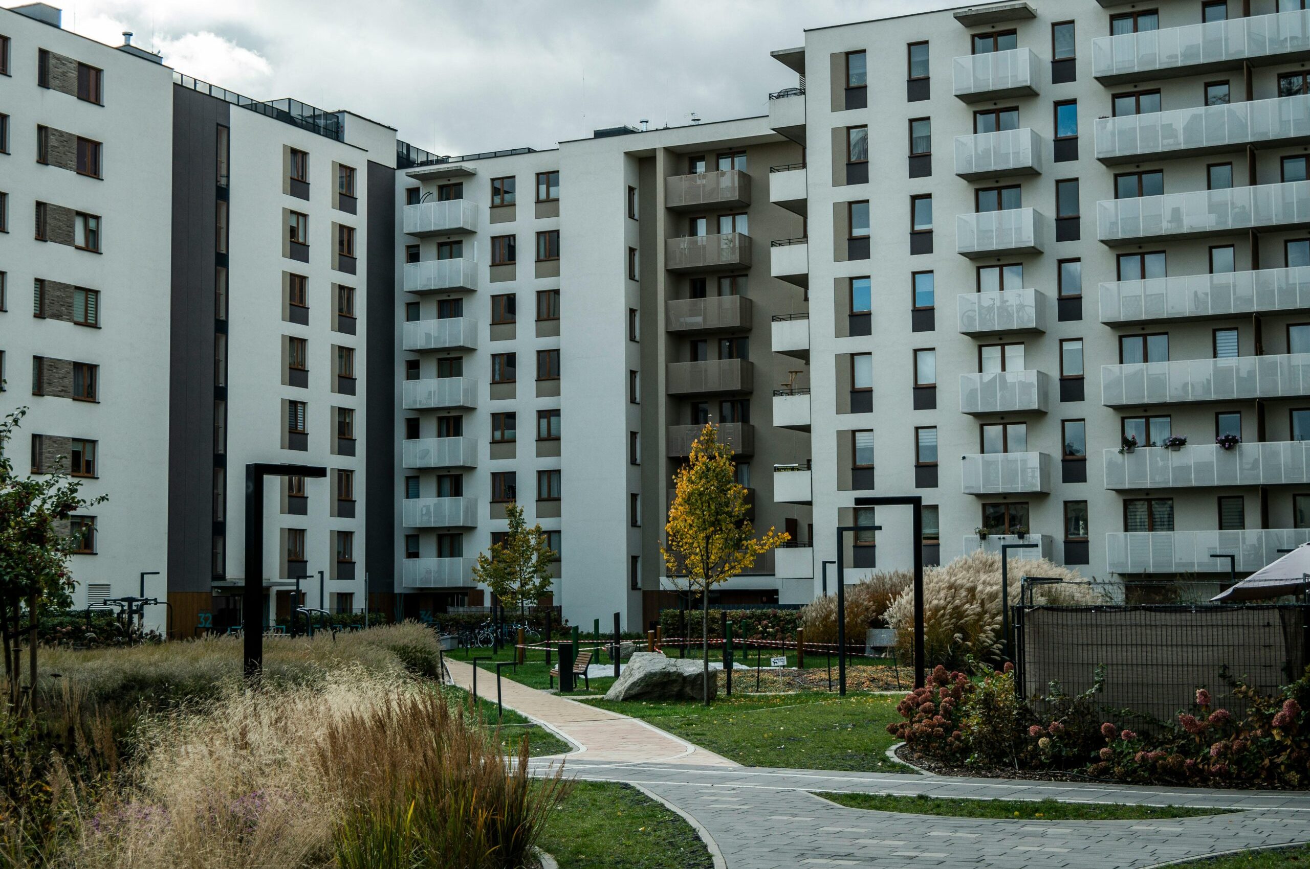 pexels-shox-34360409